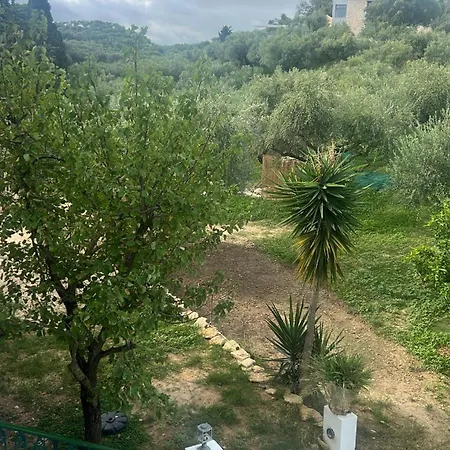 公寓 St Nicholas Tsilivi Apts By 